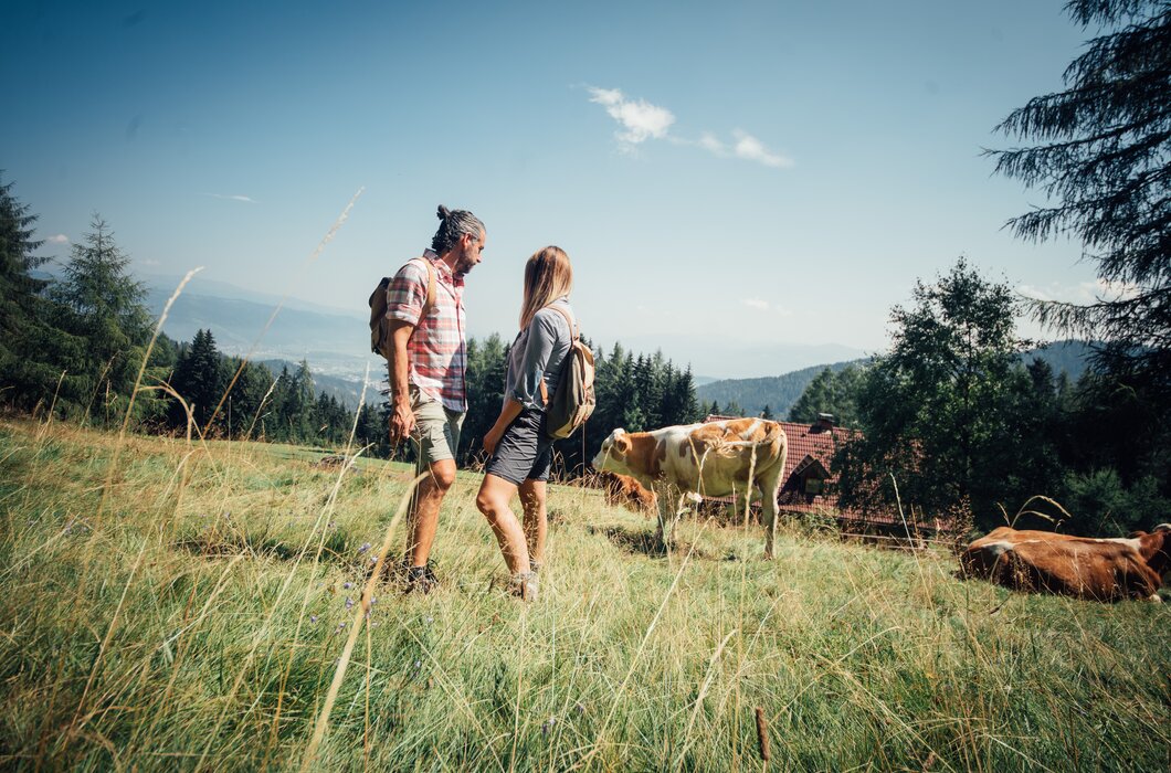 Paar steht auf Almwiese mit Kühen und dreht sich leicht weg | © Urlaub am Bauernhof Steiermark / Daniel Gollner 