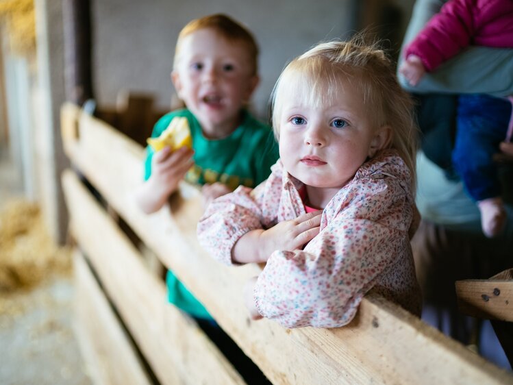 Kind auf Zaun im Stall | © Urlaub am Bauernhof Tirol / Daniel Gollner 