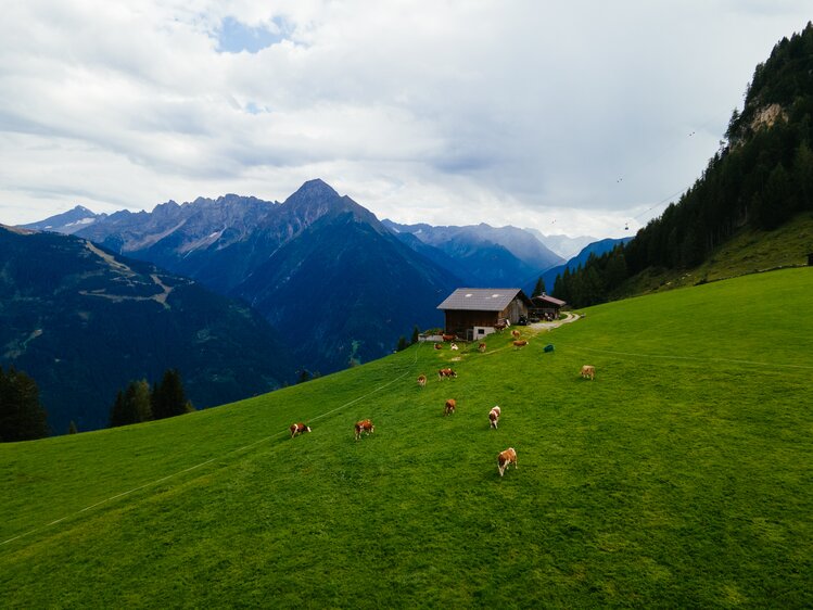 Almhütte im Sommer | © Urlaub am Bauernhof Tirol / Daniel Gollner 