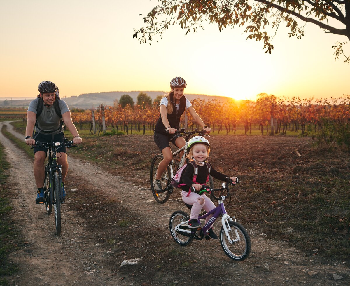 Radeln mit Sonne drin | © Burgenland Tourismus GmbH / Thomas Schmid