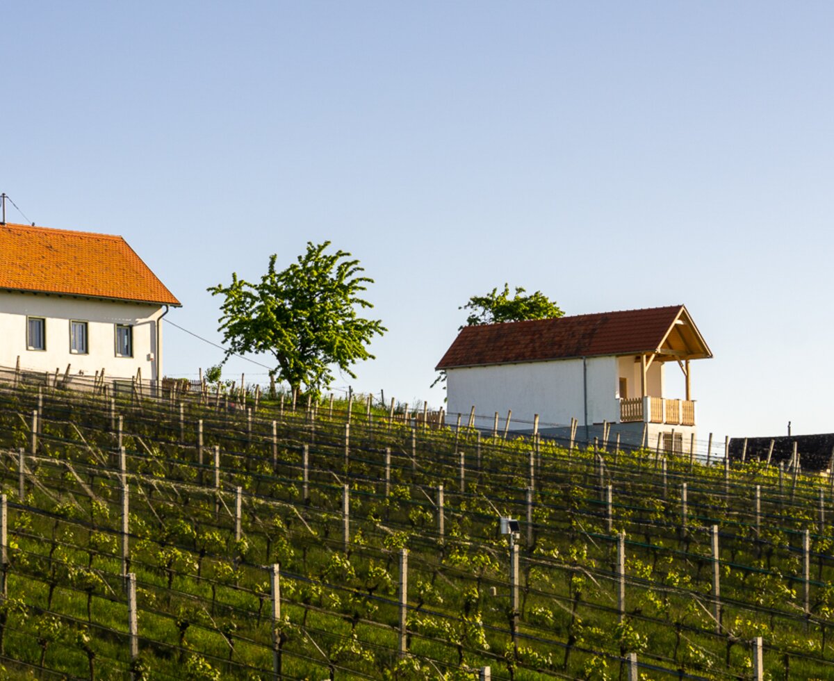 Kellerstöckl im Südburgenland | © Urlaub am Bauernhof Burgenland / Sarah Unger