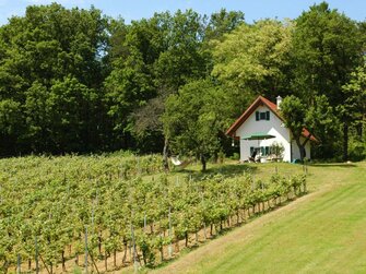 Kellerstöckl Kirchnäh im Südburgenland | © Familie Obrovsky