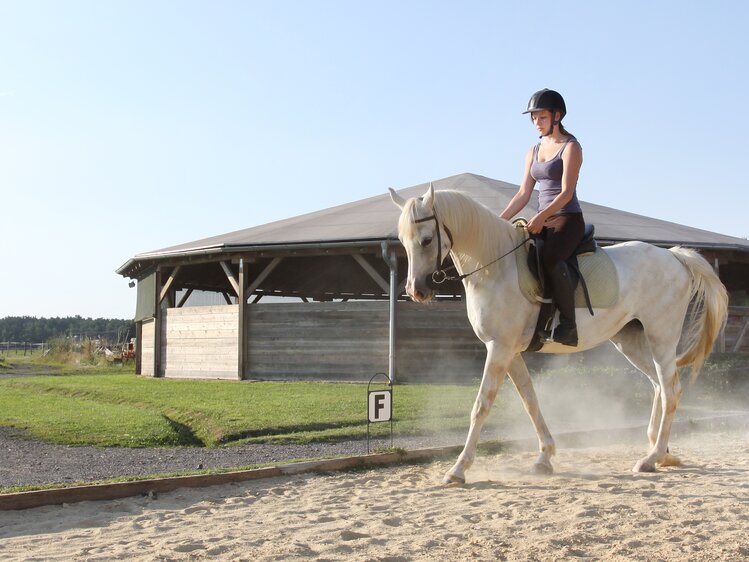 Frau reitet auf Pferd | © Urlaub am Bauernhof Burgenland / Wolfgang Pummer