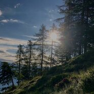 Landschaft | © Urlaub am Bauernhof Kärnten/ Wallneralm