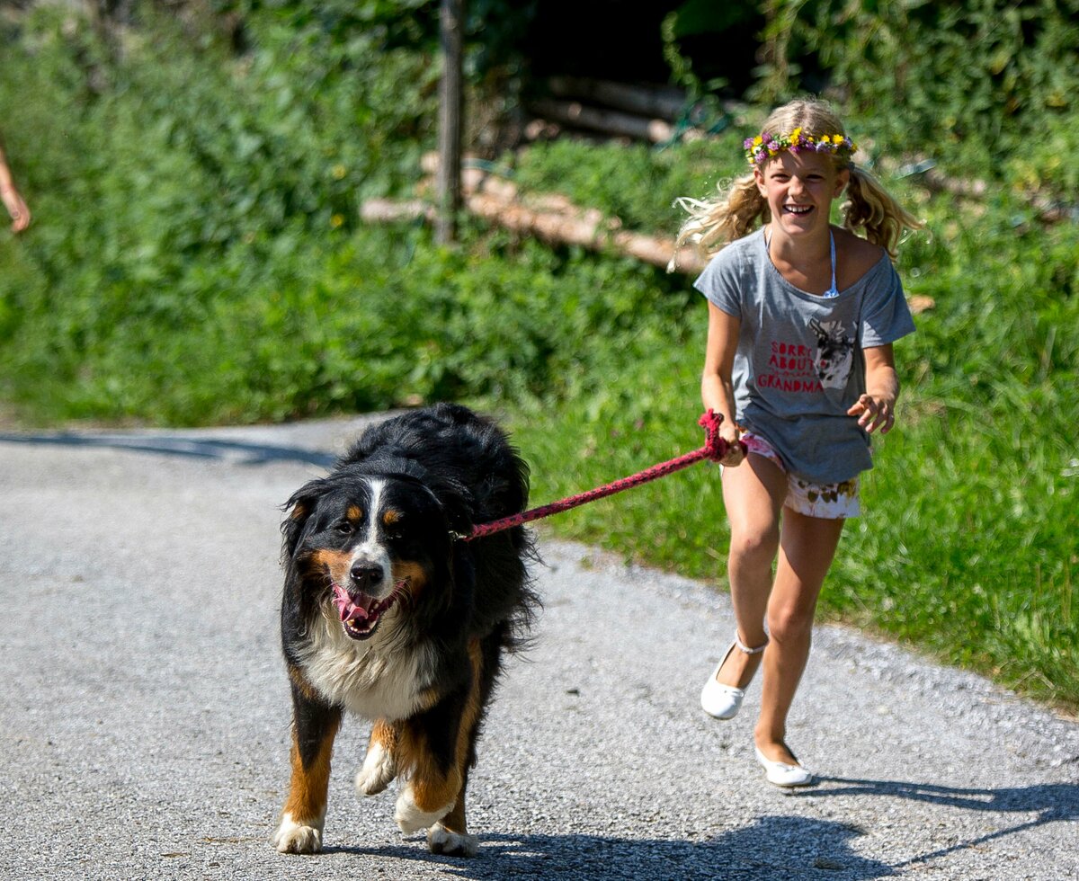 Kind läuft mit Hund an der Leine den Weg entlang und lächelt | © Urlaub am Bauernhof Kärnten / Tom Lamm