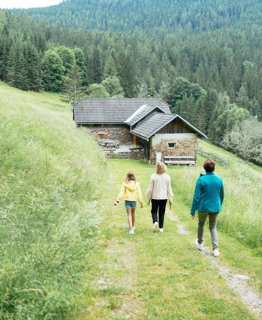 Zwei Frauen und ein Mädchen gehen den Weg hinunter zur Hütte.  | © Urlaub am Bauernhof Kärnten/ Angelina Tschische