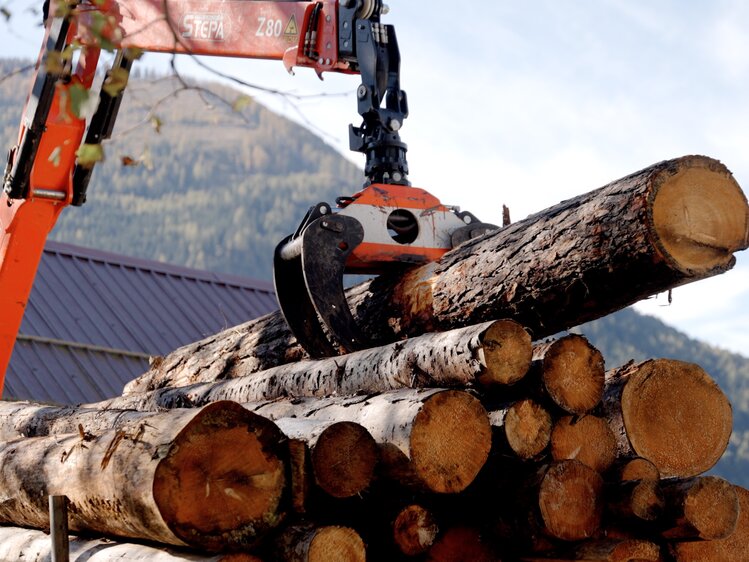 Holzkran mit Holz aus Wald | © Daniel Gollner/ Urlaub am Bauernhof Kärnten