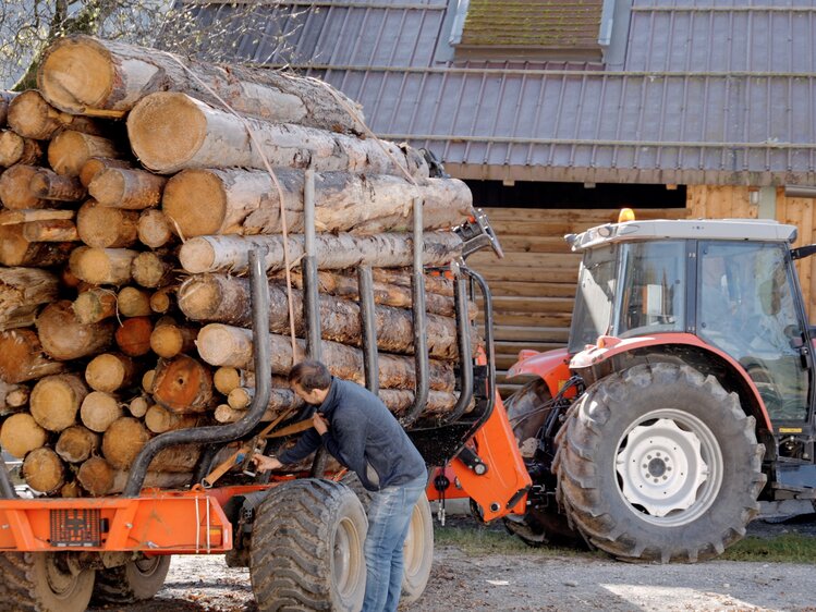 Holzkran bringt Holz aus dem Wald | © Daniel Gollner/ Urlaub am Bauernhof Kärnten