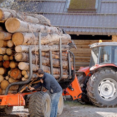 Holzkran bringt Holz aus dem Wald | © Daniel Gollner/ Urlaub am Bauernhof Kärnten