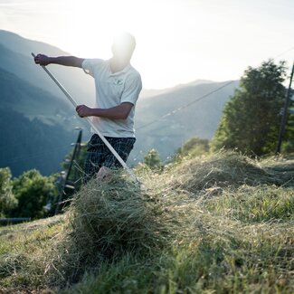 Mann mach Heu mit Rechen | © Urlaub am Bauernhof Kärnten/ Daniel Gollner