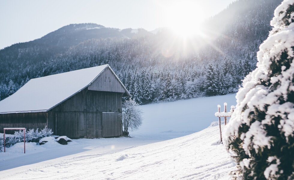 Landschaft im Schnee | © Urlaub am Bauernhof Kärnten/ Daniel Gollner Landschaft mit Hütte im Schnee | © Urlaub am Bauernhof Kärnten/ Daniel Gollner