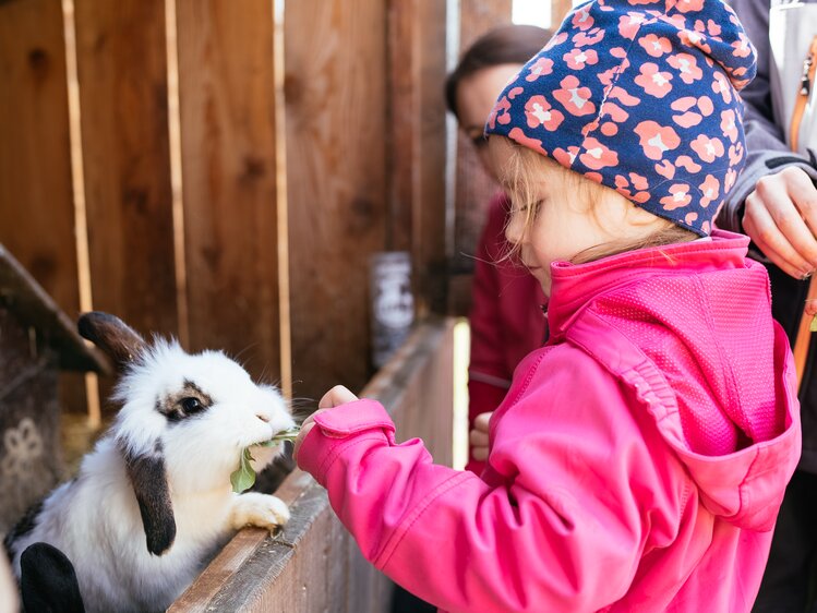 Mädchen streichelt Hasen | © Urlaub am Bauernhof Kärnten / Daniel Gollner