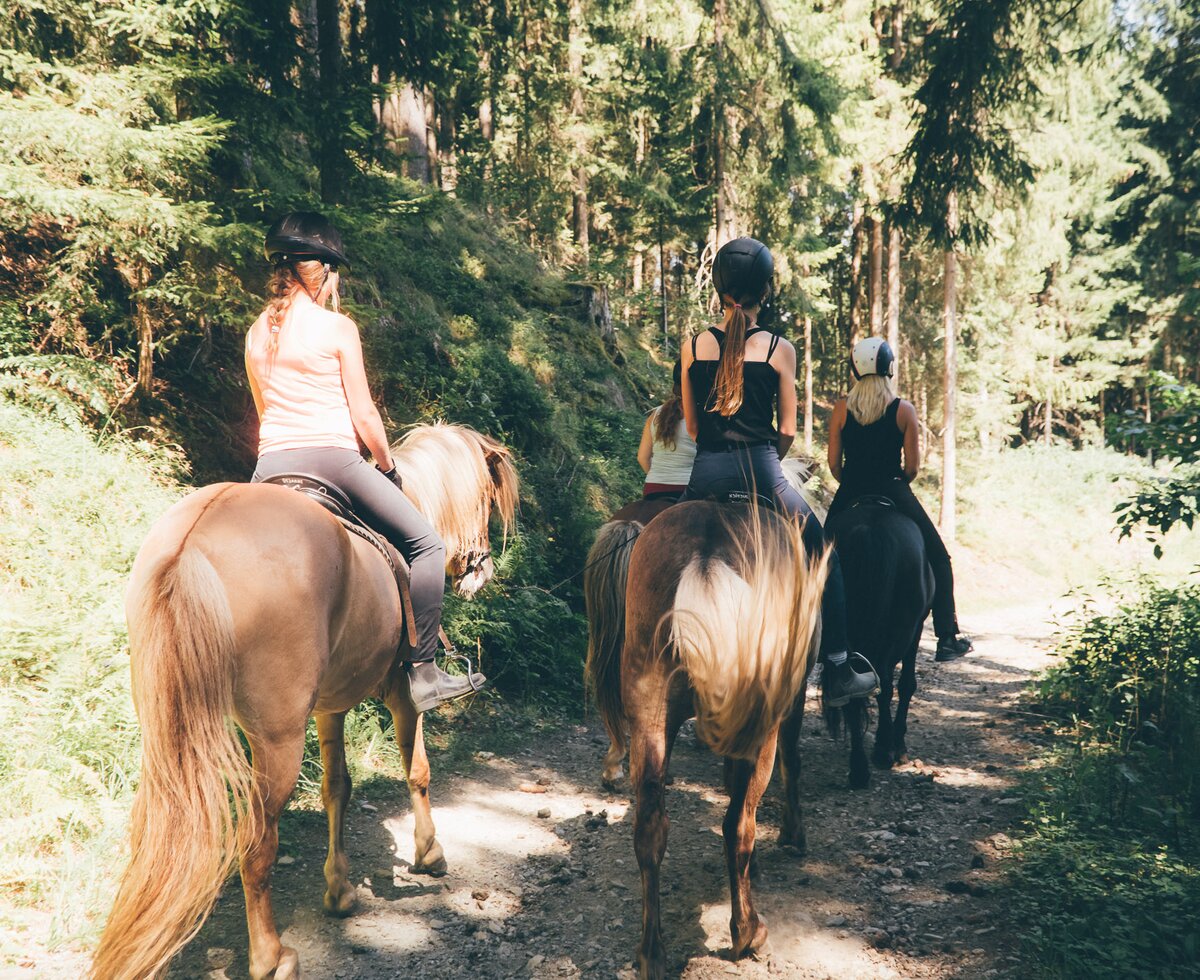 Ausritt im Wald | © Urlaub am Bauernhof Kärnten / Daniel Gollner