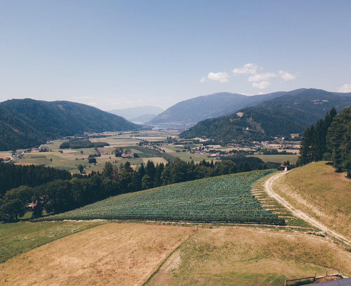 Landschaft mit Feldern | © Urlaub am Bauernhof Kärnten / Daniel Gollner