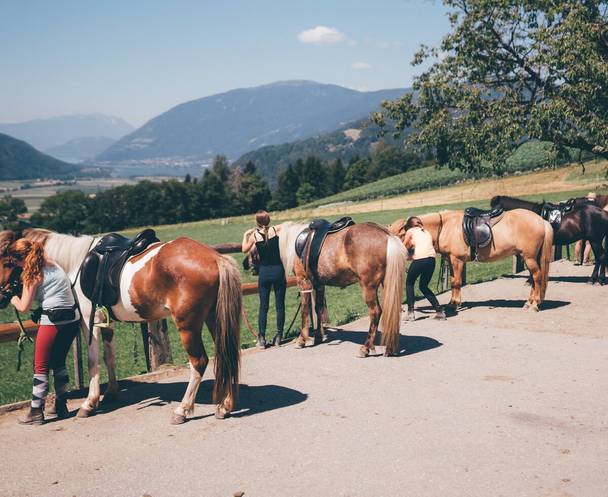 Pferde sind angeleint | © Urlaub am Bauernhof Kärnten / Daniel Gollner