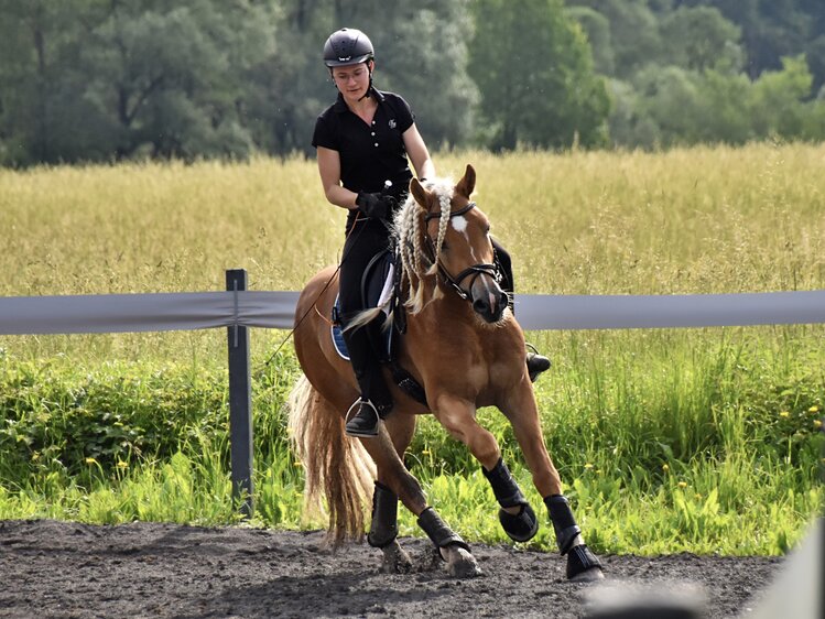 Frau reitet Dressur | © Ida Winkler / Pfeiferhof