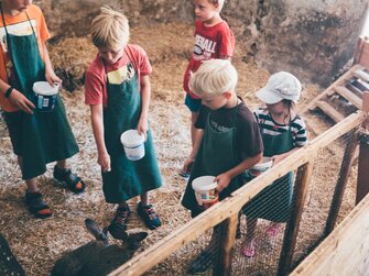 Kinder füttern die Tiere im Stall | © Urlaub am Bauernhof Kärnten / Daniel Gollner