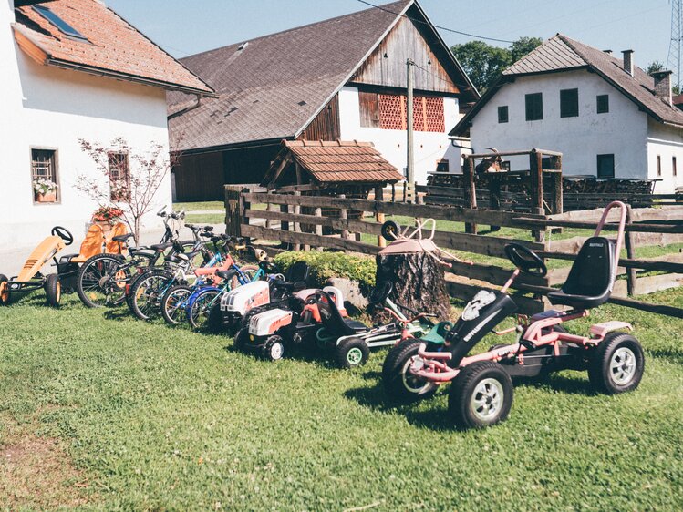 Gocarts auf der Wiese am Zaun | © Urlaub am Bauernhof Kärnten/ Daniel Gollner