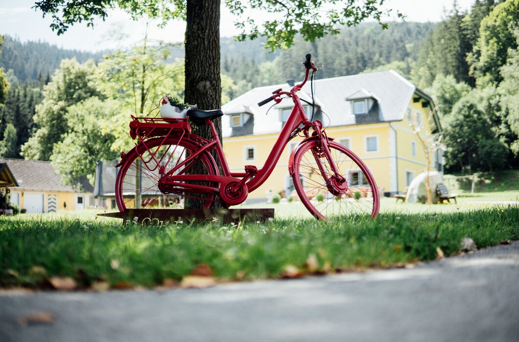 Rotes Fahrrad an den Baum gelehnt | © Urlaub am Bauernhof Kärnten / Daniel Gollner