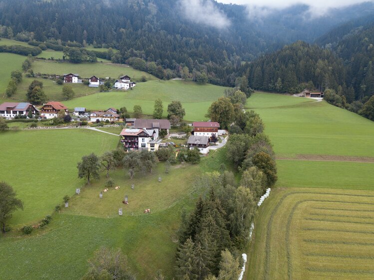 Hof von oben | © Urlaub am Bauernhof Kärnten / Daniel Gollner