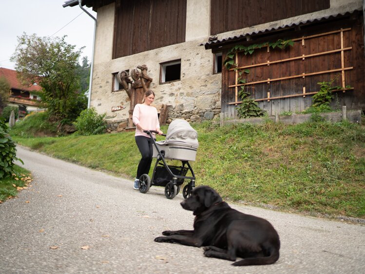 Frau spaziert mit Kinderwagen und Hund liegt am Weg | © Urlaub am Bauernhof Kärnten / Daniel Gollner