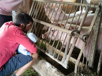 Mann und Baby im Stall bei den Schweinen | © Urlaub am Bauernhof Kärnten / Daniel Gollner