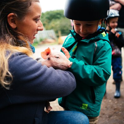 Frau hält das Babyschwein und Bub streichelt es | © Urlaub am Bauernhof Kärnten/ Daniel Gollner