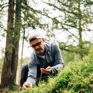 Mann sammelt Beeren im Wald | © Urlaub am Bauernhof Kärnten/ Daniel Gollner