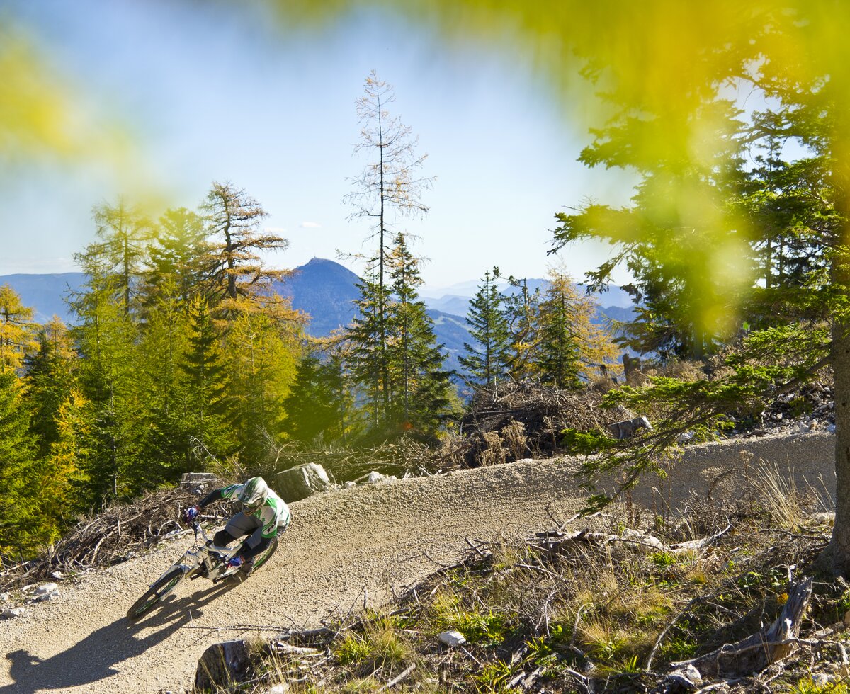 Mountainbiker am Flow Country - Petzen | © Franz Gerdl / Kärnten Werbung GmbH