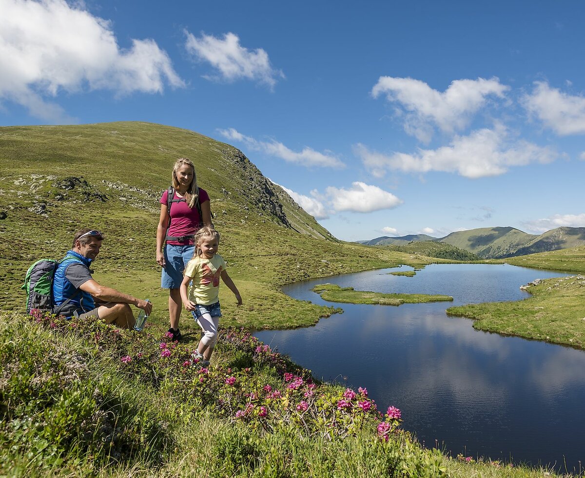 Wanderspaß für die gesamte Familie auf der Wolitzenalm | © Franz Gerdl/ Kärnten Werbung