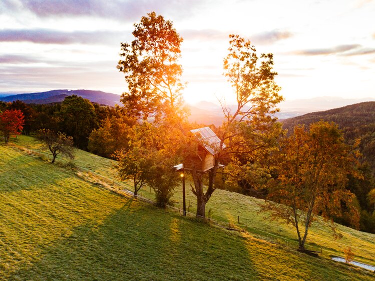 Baumhaus im Sonnenuntergang am Natur Gut Lassen | © Urlaub am Bauernhof Kärnten/ Daniel Gollner