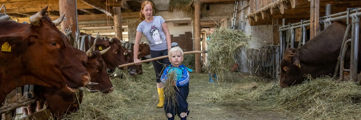 Kinder füttern die Kühe im Stall mit Heu | © Landesverband Urlaub am Bauernhof Kärnten/ Achim Mandler