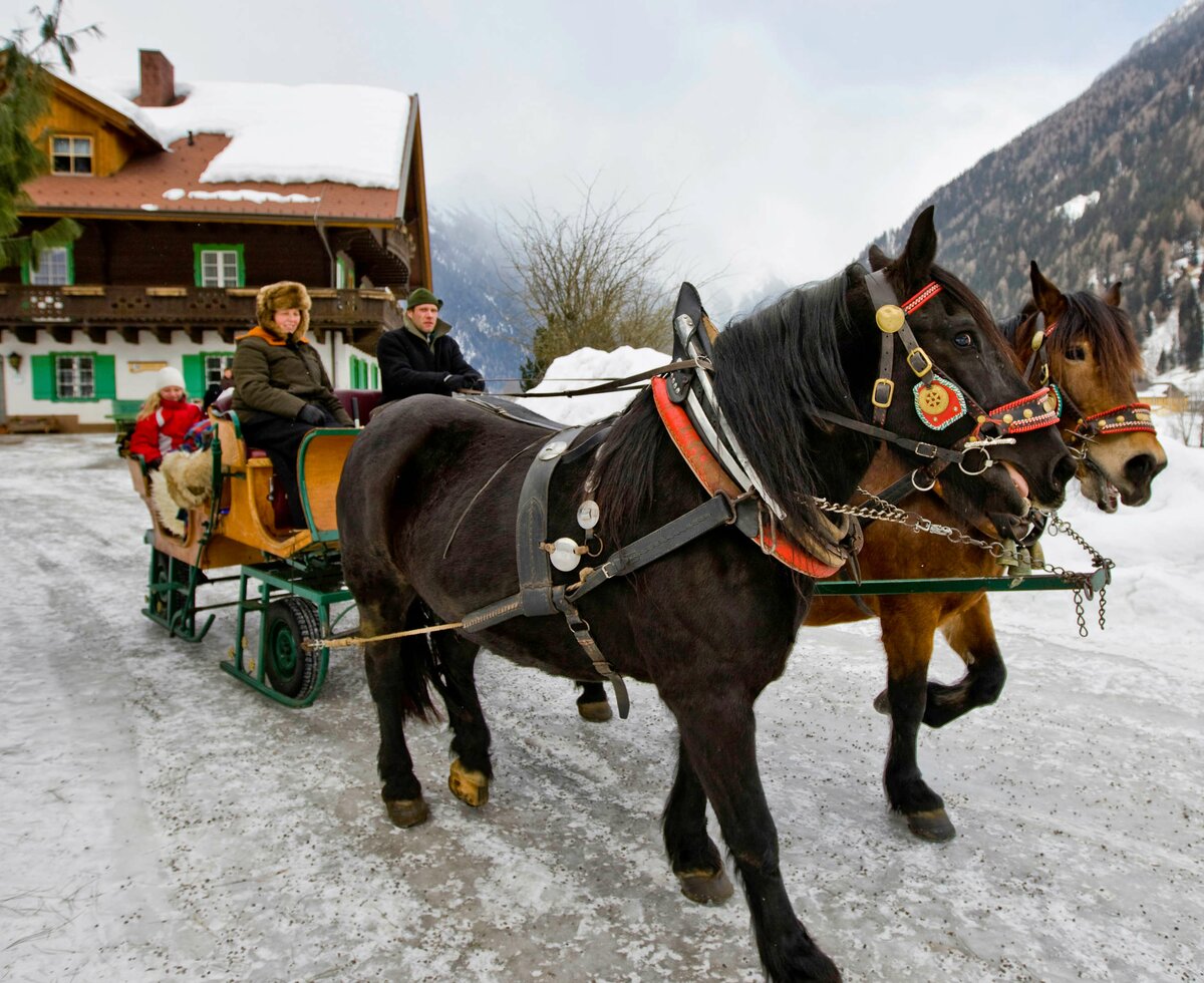 Unterwegs mit dem Pferdeschlitten | © Tom Lamm / Urlaub am Bauernhof Kärnten 