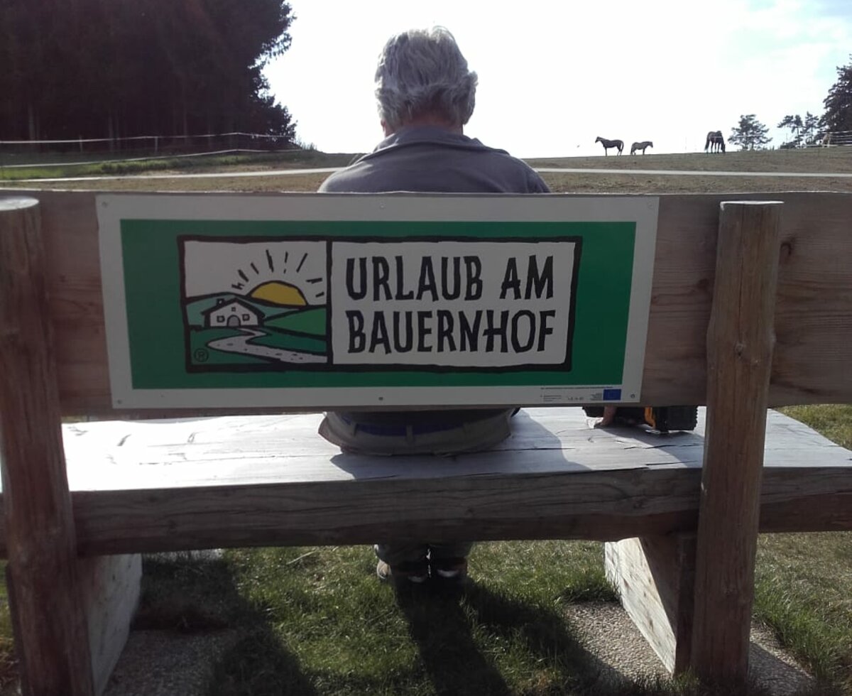 Urlaub am Bauernhof Tafel auf Bank mit Aussicht auf Pferde | © Fini Hofbauer-Hofmann