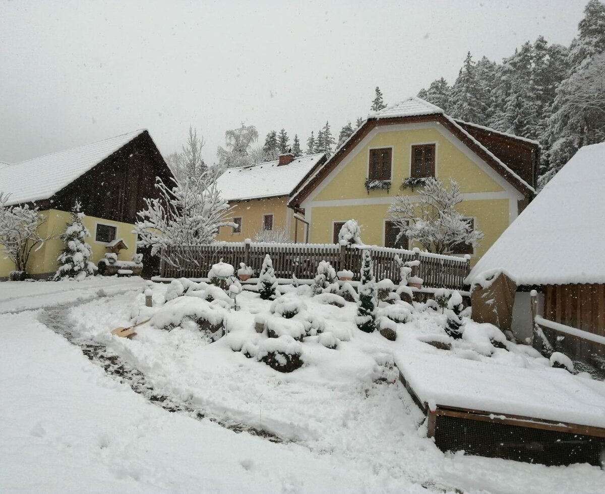 Winteraufnahme Nazbauerhof | © Franz Sommer