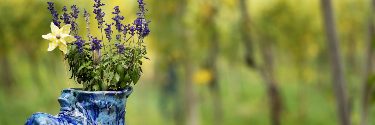 Blumen in einem alten Schuh als Deko im Weingarten | © Urlaub am Bauernhof Niederösterreich / weinfranz.at