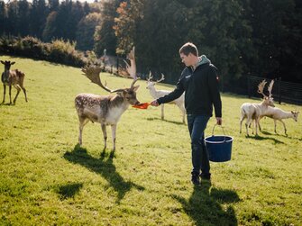 Fütterung Wildtiere | © Matthias Distelberger - Die Hochrieß