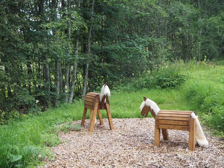 Holzpferde am Bodenhof | © Urlaub am Bauernhof Niederösterreich / Elena Paschinger / www.creativelena.com