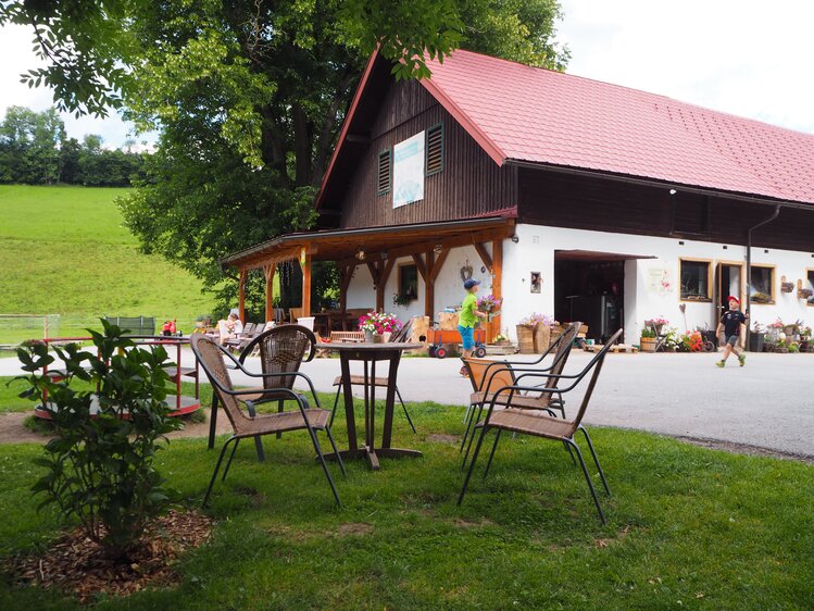 Kinder spielen am Bodenhof | © Urlaub am Bauernhof Niederösterreich / Elena Paschinger / www.creativelena.com