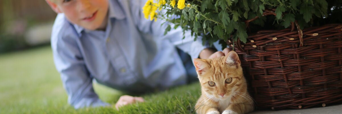 Bub und Katze liegen im Gars neben Blumenstock | © Privat zu Gast in Niederösterreich / weinfranz.at