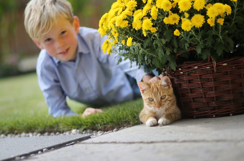 Bub und Katze liegen im Gars neben Blumenstock | © Privat zu Gast in Niederösterreich / weinfranz.at