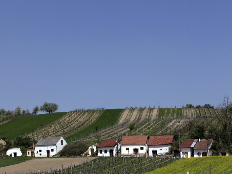 Kellergasse im Frühling im Weinviertel | © Weinviertel Tourismus / Christine Wurnig