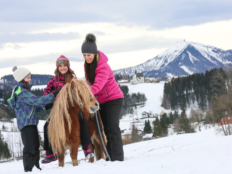 Kinder mit einem Pony in einer Winterlandschaft | © Niederösterreich Werbung / schwarz-koenig.at