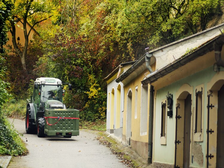 Trauben werden mit Traktor angeliefert | © Urlaub am Winzerhof / weinfranz.at