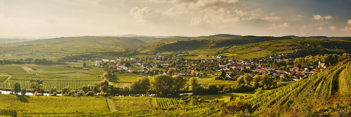 Landschaft Kamptal im Herbst | © Niederösterreich Werbung / Michael Liebert