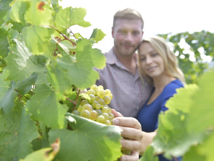 Trauben angreifen | © Urlaub am Winzerhof / Ralph Fischbacher