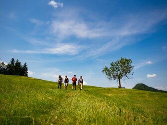 Gruppe wandert über grüne Wiese im Sommer | © Urlaub am Bauernhof Oberösterreich / Daniel Gollner