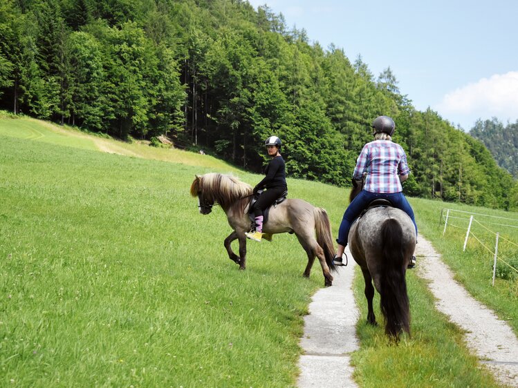 Reiten auf Islandpferden am Wolfgangsee | © Urlaub am Bauernhof Oberösterreich / Harald Puchegger