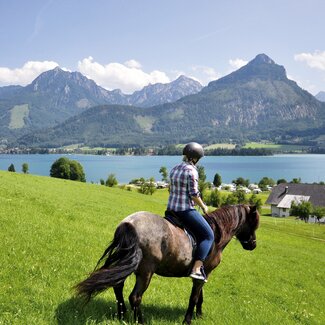 Frau reitet mit Blick auf den Wolfgangsee, Salzkammergut | © Urlaub am Bauernhof Oberösterreich / Harald Puchegger