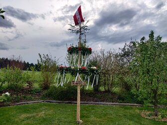 Kleiner Maibaum steht im Garten | © Urlaub am Bauernhof Oberösterreich / Landjugend OÖ